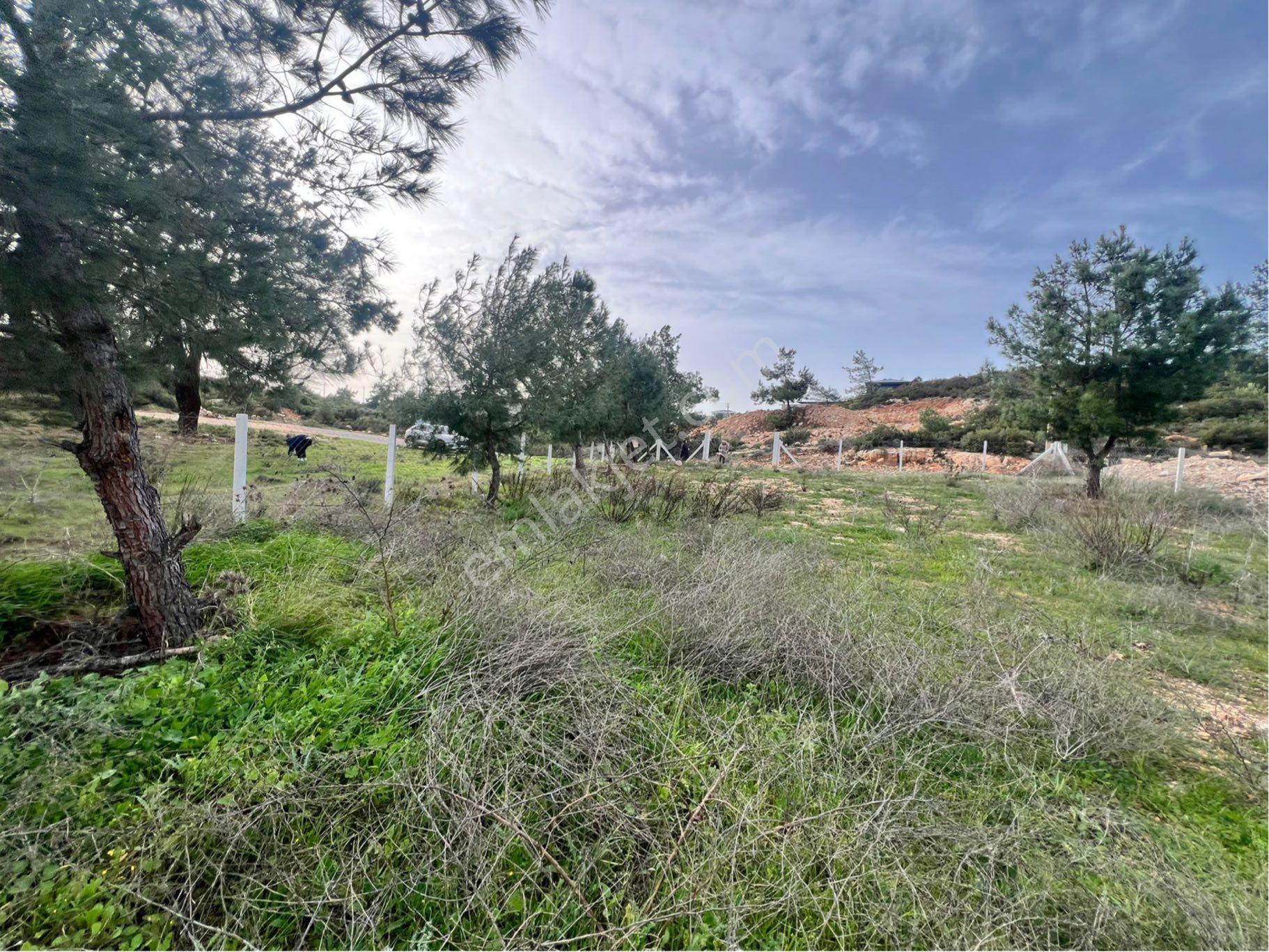 Didim Seyrantepe'de 562 M2 Tam Müstakil Arsa - Görsel 6