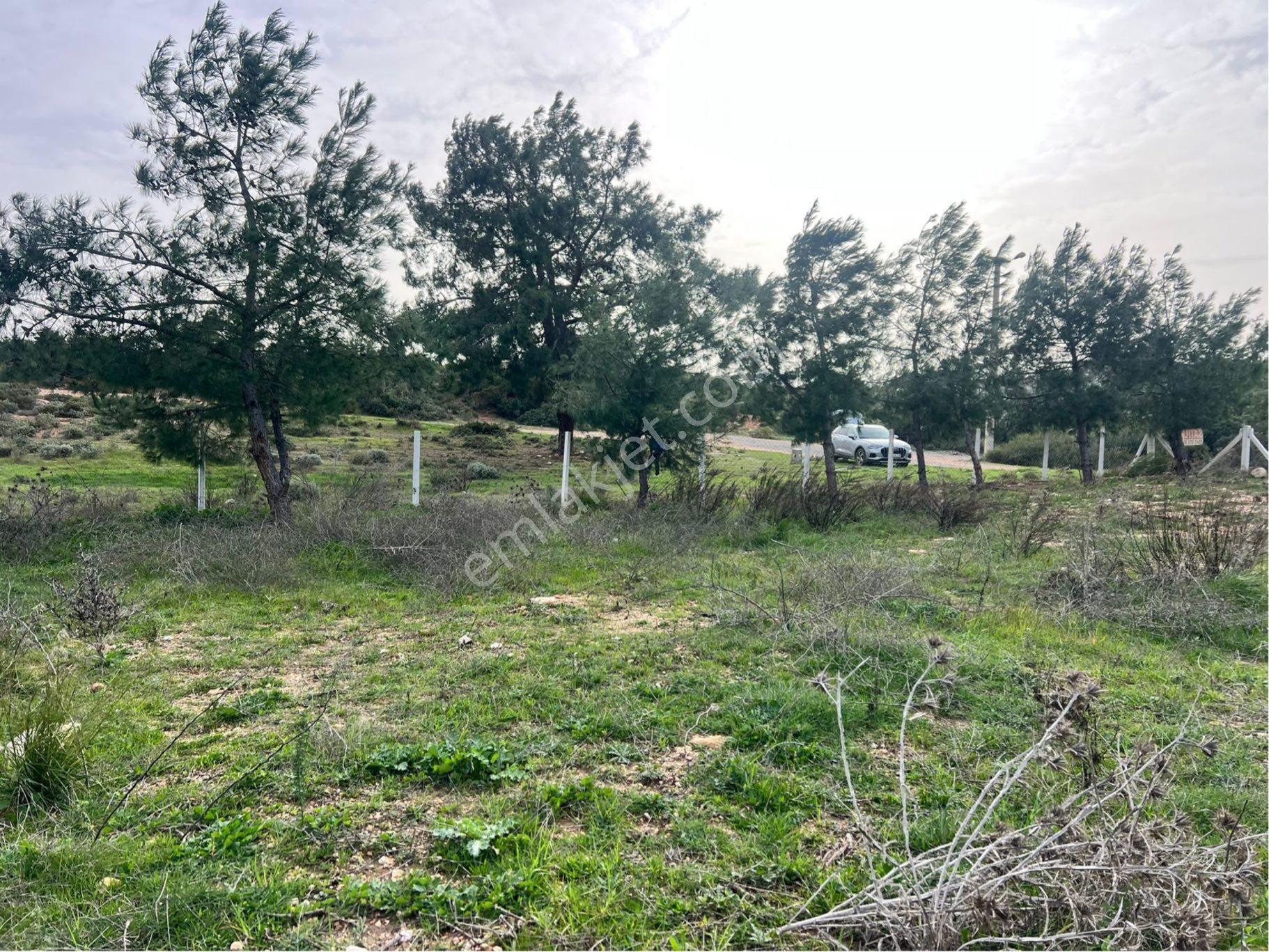 Didim Seyrantepe'de 562 M2 Tam Müstakil Arsa - Görsel 4