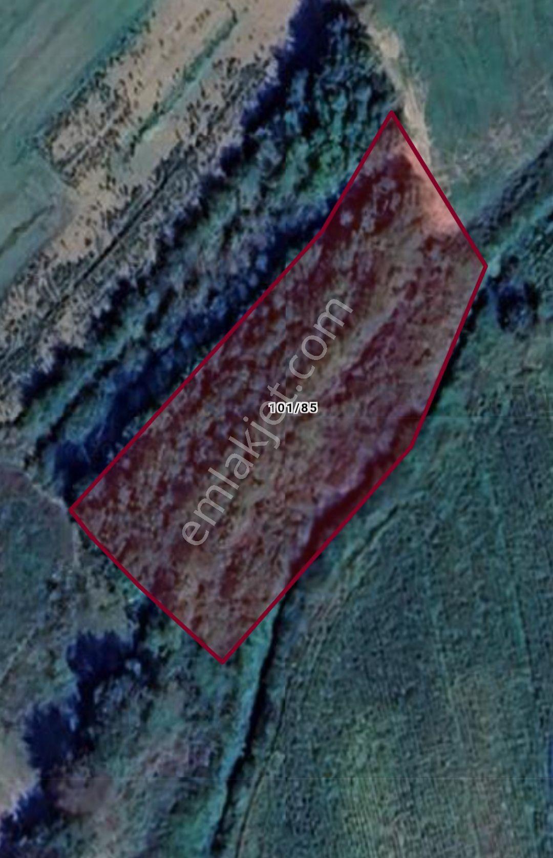 Kandıral Akbal Da Fırsat