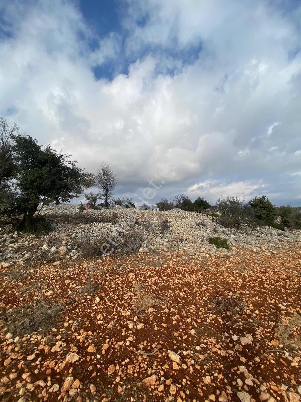 Mersin Erdemli Arkıt Yaylasında Ev Yapımına Uygun Arsa - Görsel 6