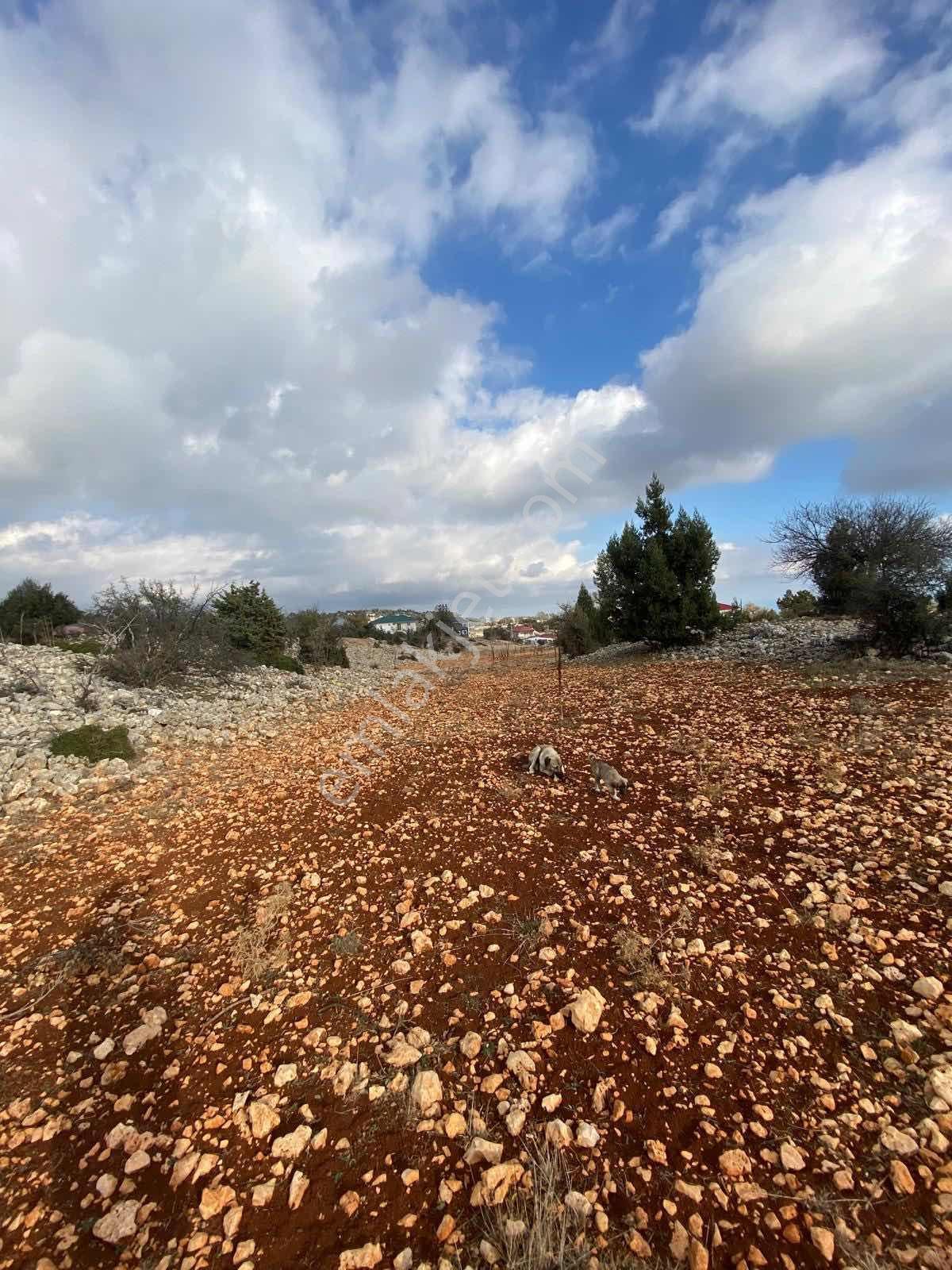 Mersin Erdemli Arkıt Yaylasında Ev Yapımına Uygun Arsa - Görsel 3