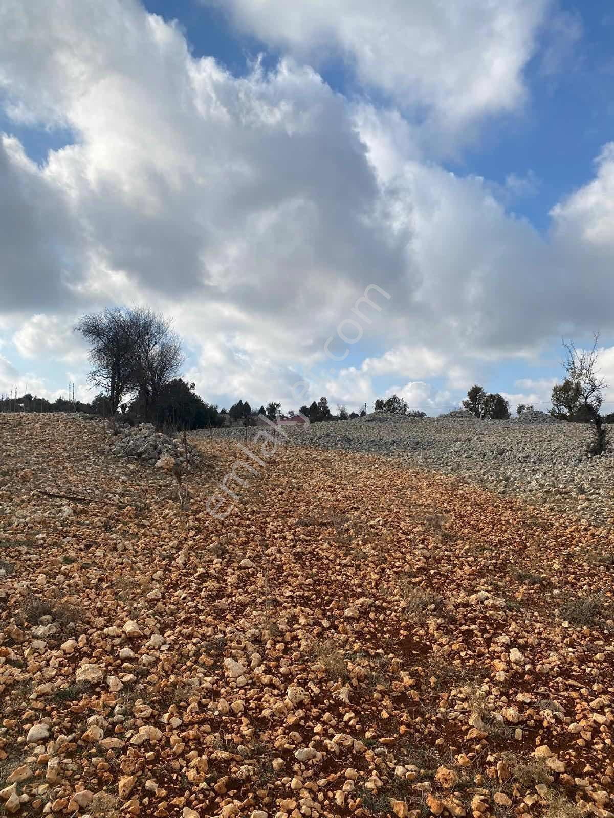 Mersin Erdemli Arkıt Yaylasında Ev Yapımına Uygun Arsa - Görsel 4