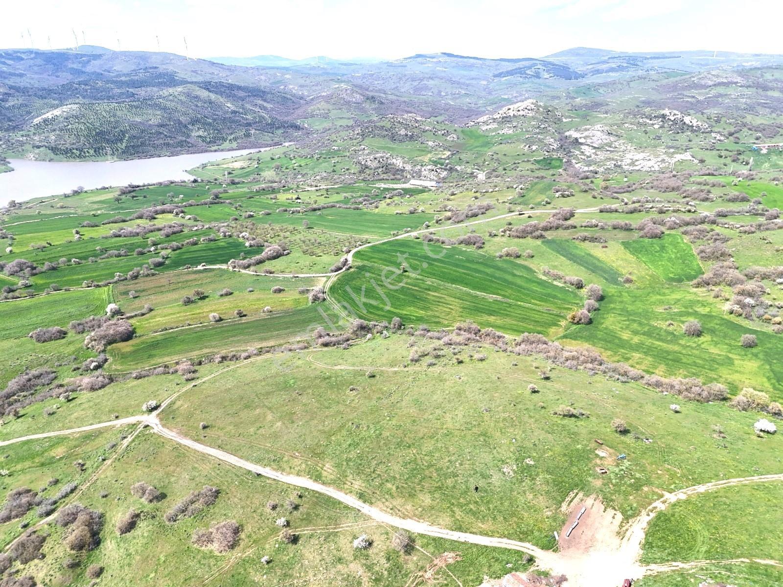 Altıeylül Akarsu Mah. 8800 M² 90 Mt Kadastral Yola Sahip Tarla - Görsel 7