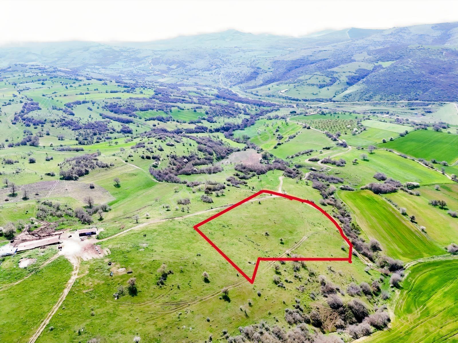 Altıeylül Akarsu Mah. 8800 M² 90 Mt Kadastral Yola Sahip Tarla - Görsel 8
