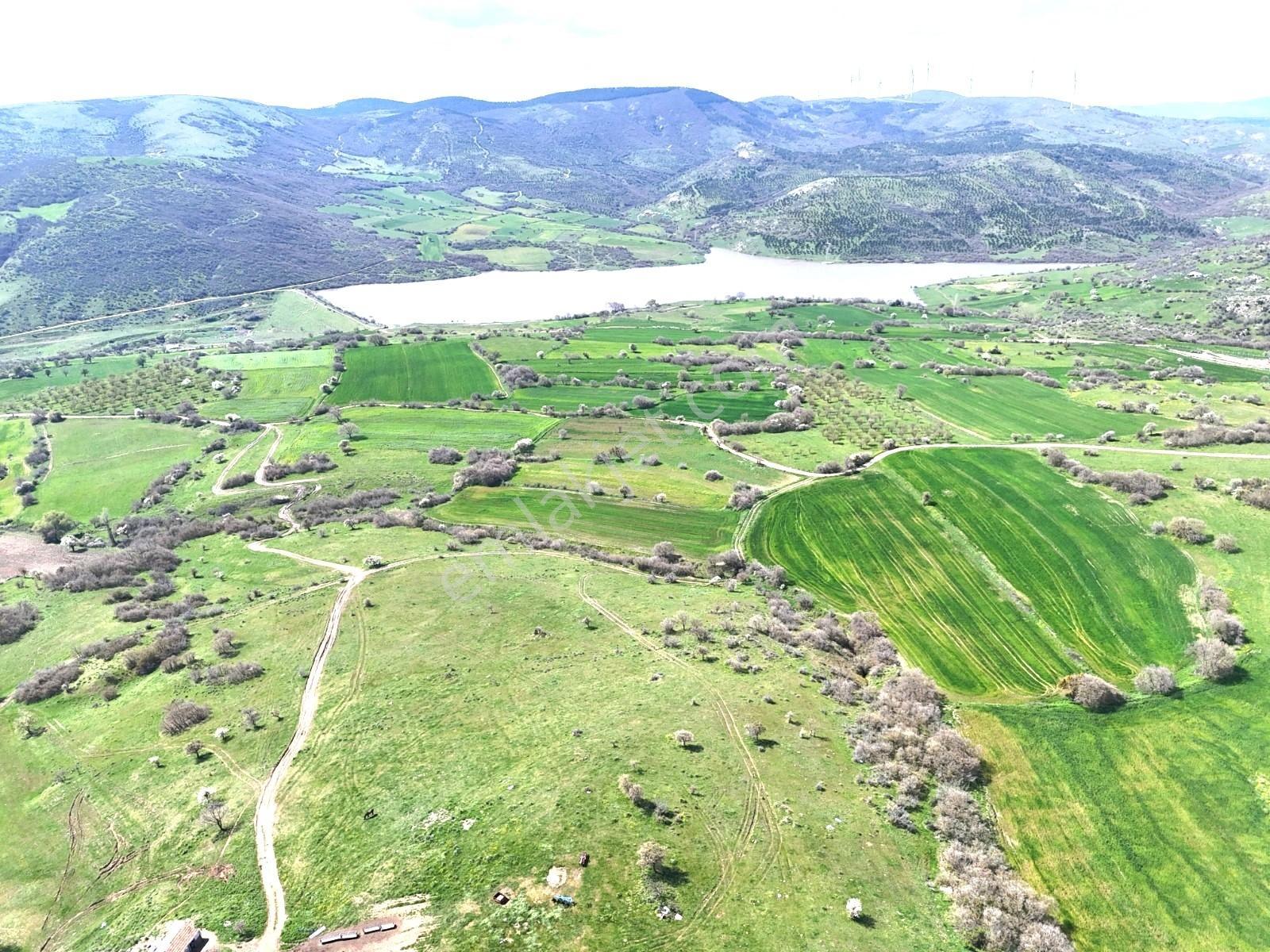 Altıeylül Akarsu Mah. 8800 M² 90 Mt Kadastral Yola Sahip Tarla - Görsel 5
