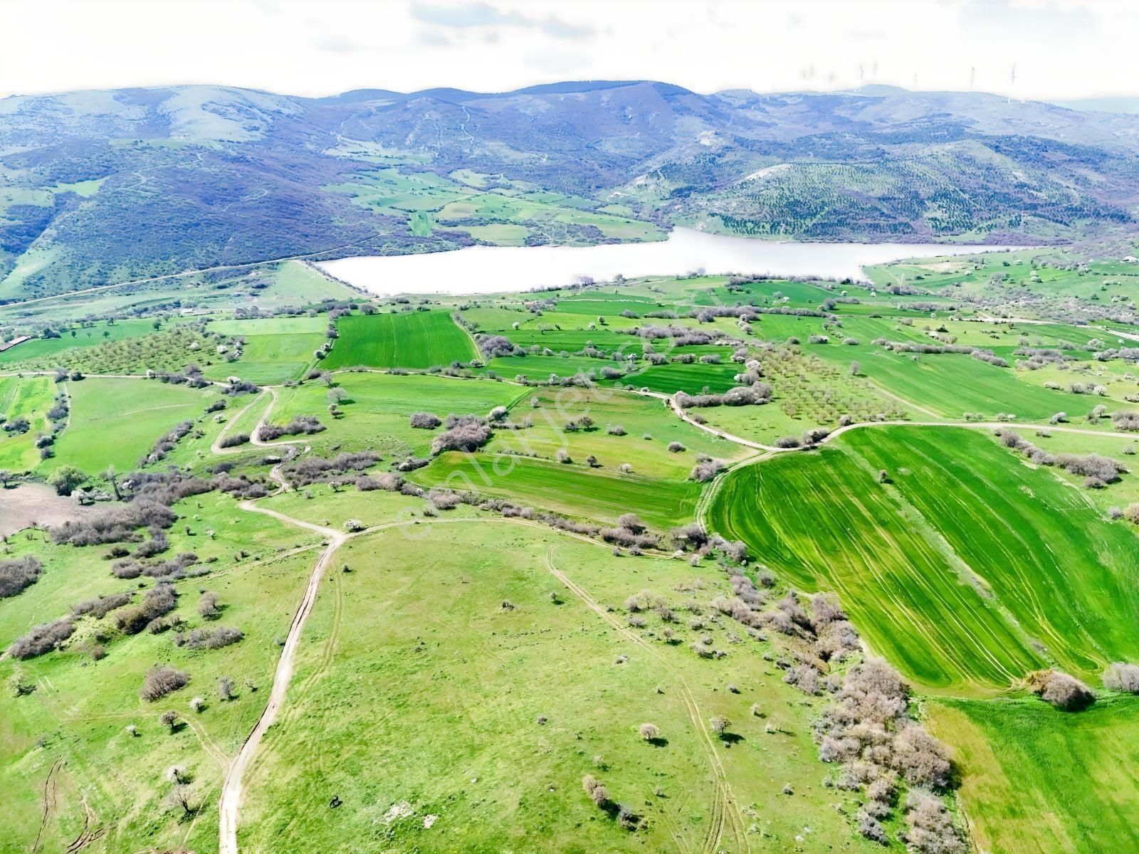 Altıeylül Akarsu Mah. 8800 M² 90 Mt Kadastral Yola Sahip Tarla - Görsel 3