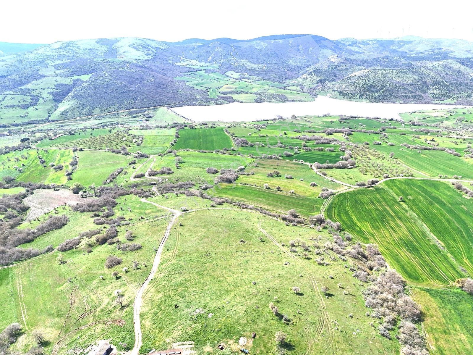 Altıeylül Akarsu Mah. 8800 M² 90 Mt Kadastral Yola Sahip Tarla - Görsel 4