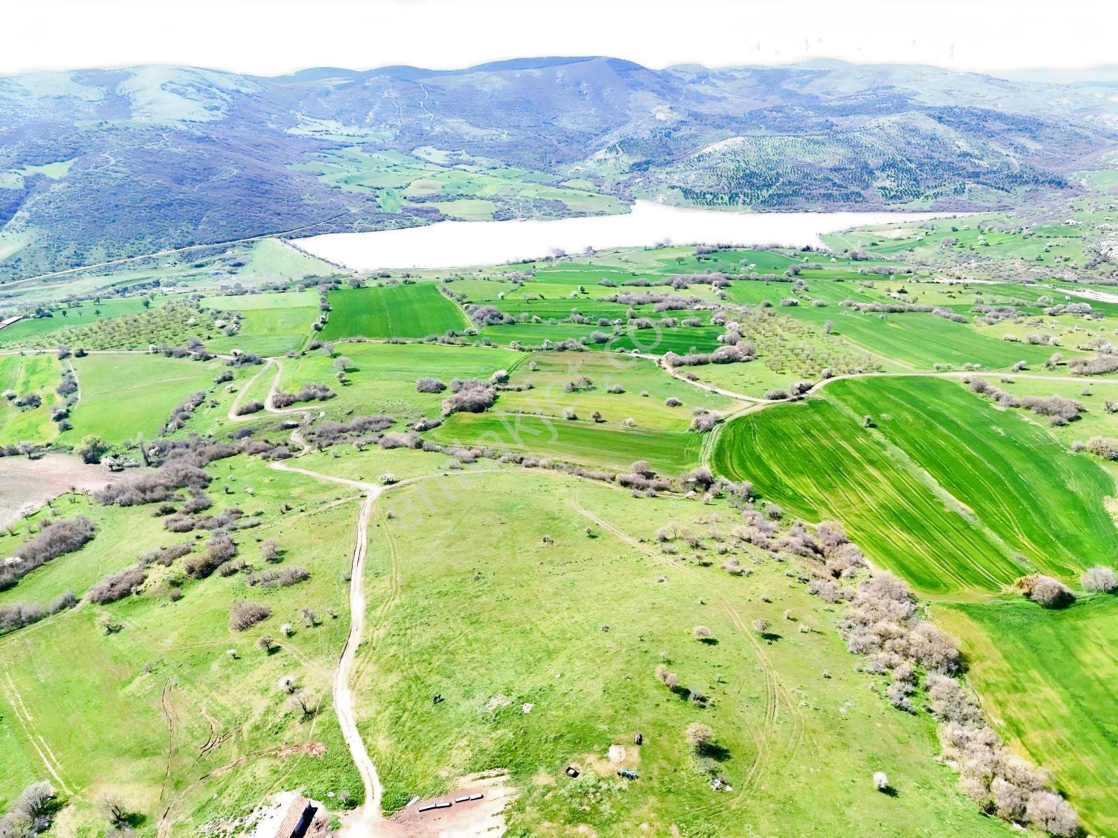 Altıeylül Akarsu Mah. 8800 M² 90 Mt Kadastral Yola Sahip Tarla - Görsel 12