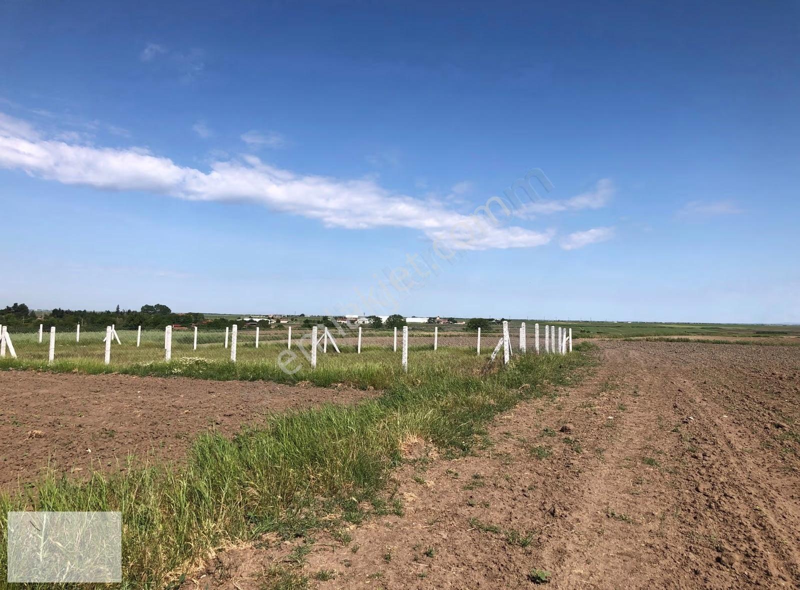 Tekirdağ Saray Beyazköy De Mahalle Kenarı 673 M2 İmarlı İfrazlı - Görsel 21