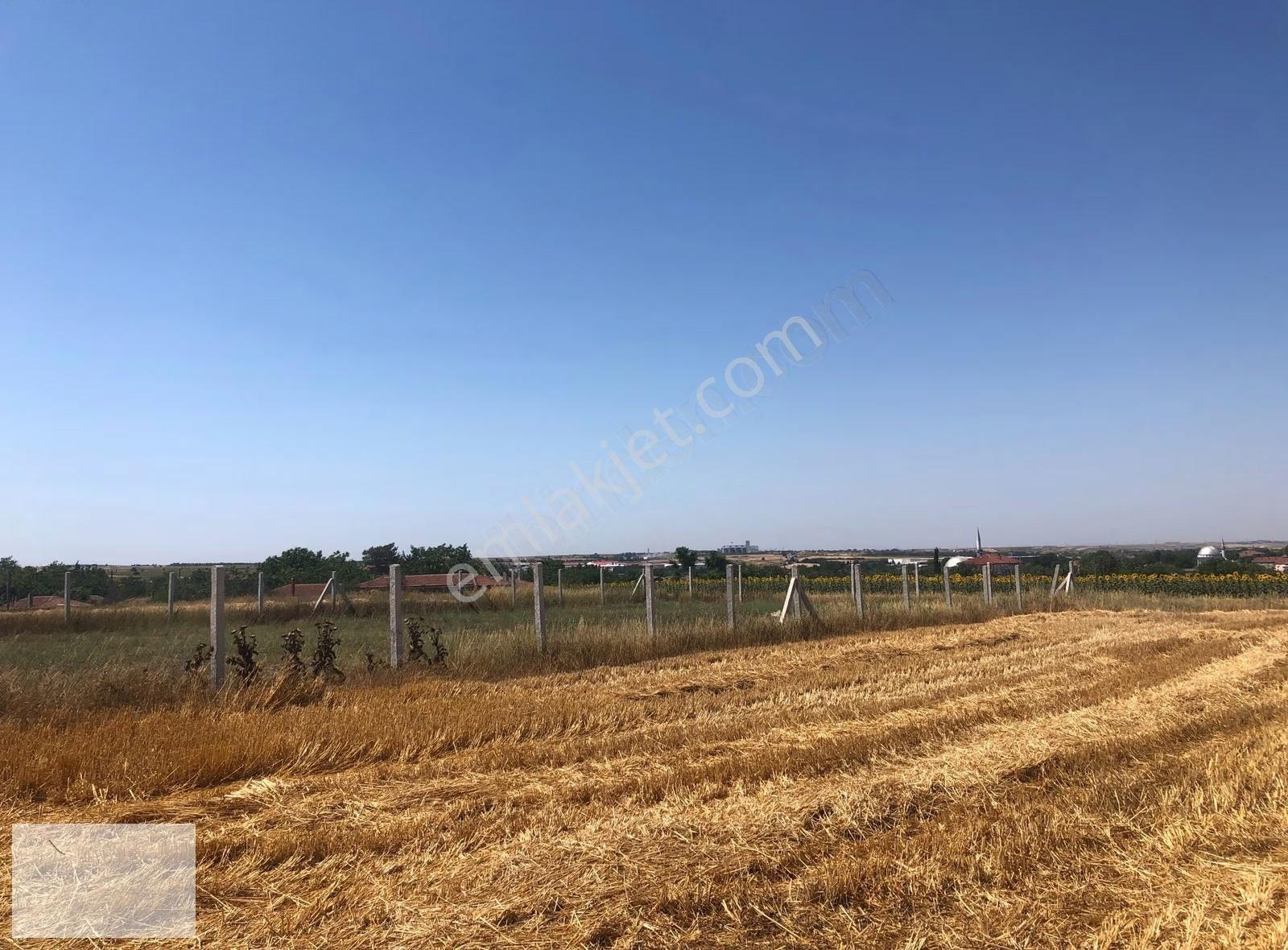 Tekirdağ Saray Beyazköy De Mahalle Kenarı 673 M2 İmarlı İfrazlı - Görsel 6