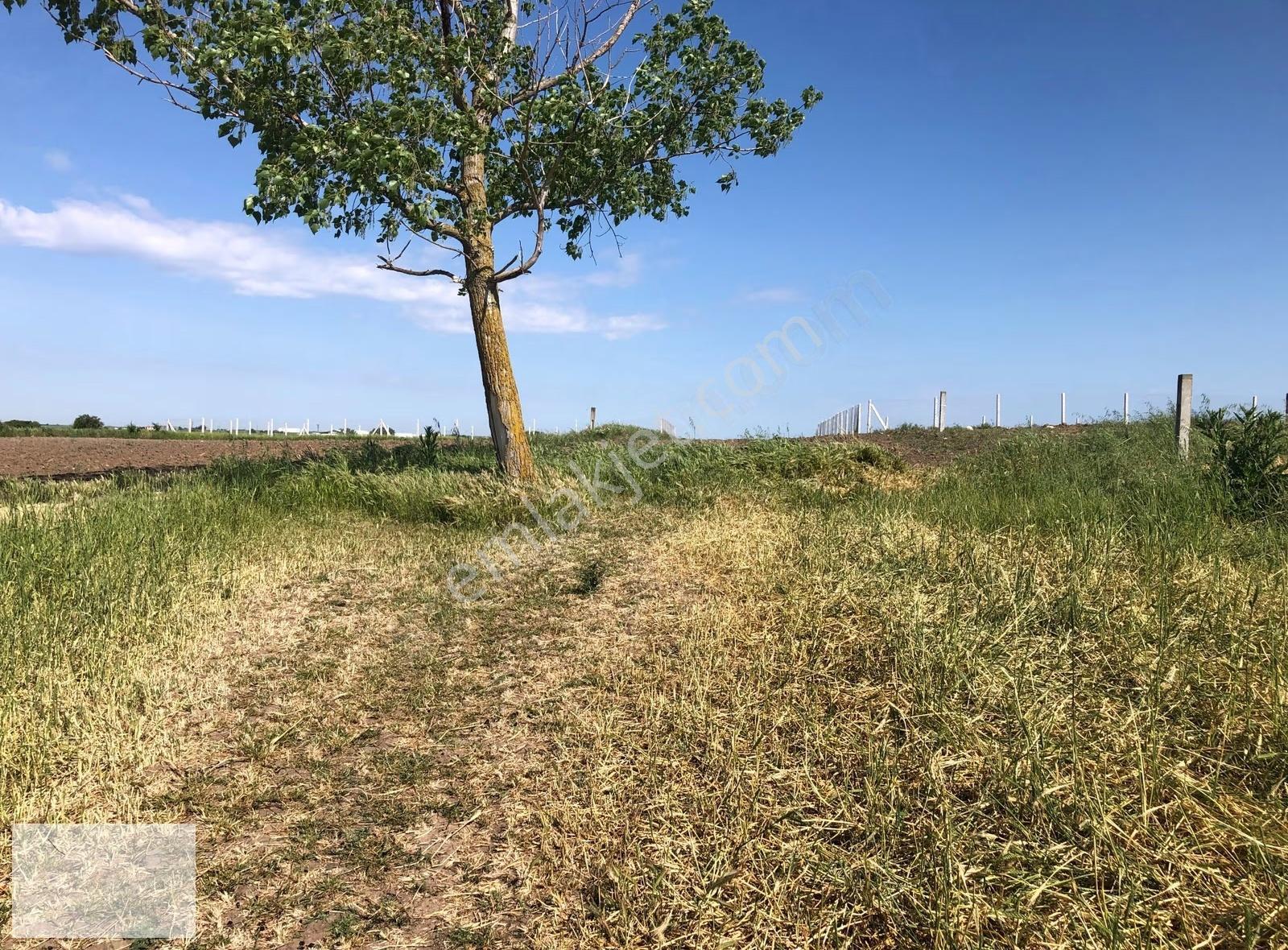 Tekirdağ Saray Beyazköy De Mahalle Kenarı 673 M2 İmarlı İfrazlı - Görsel 13