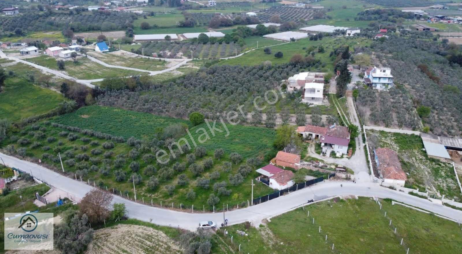 Cumaovası Emlaktan Satılık Sancaklı'da 1524m2 İçinde Bahçe Evi - Görsel 11