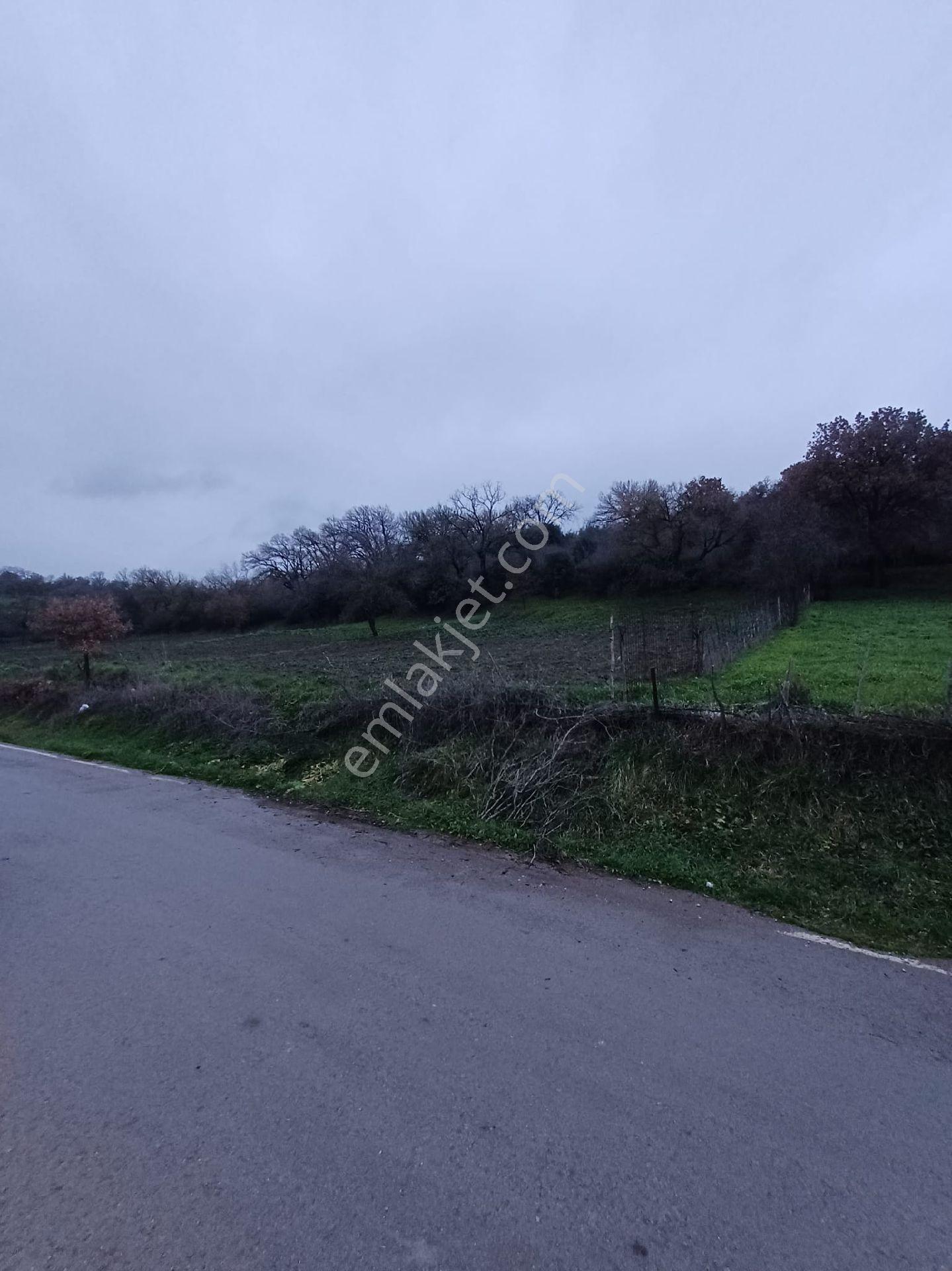 Köy İçinde Ev Yapılmaya Uygun - Görsel 8