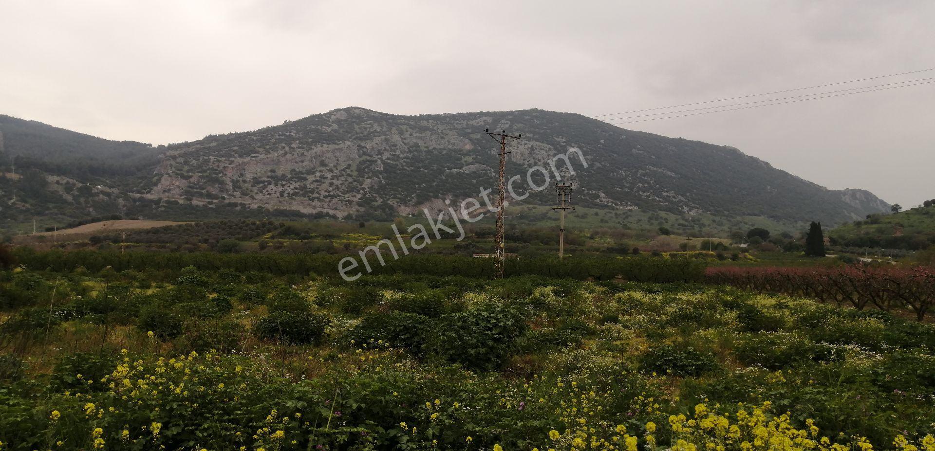 İzmir/selçul/atatürk Mah 7.681m2 Tarla Satılıktır. - Görsel 6