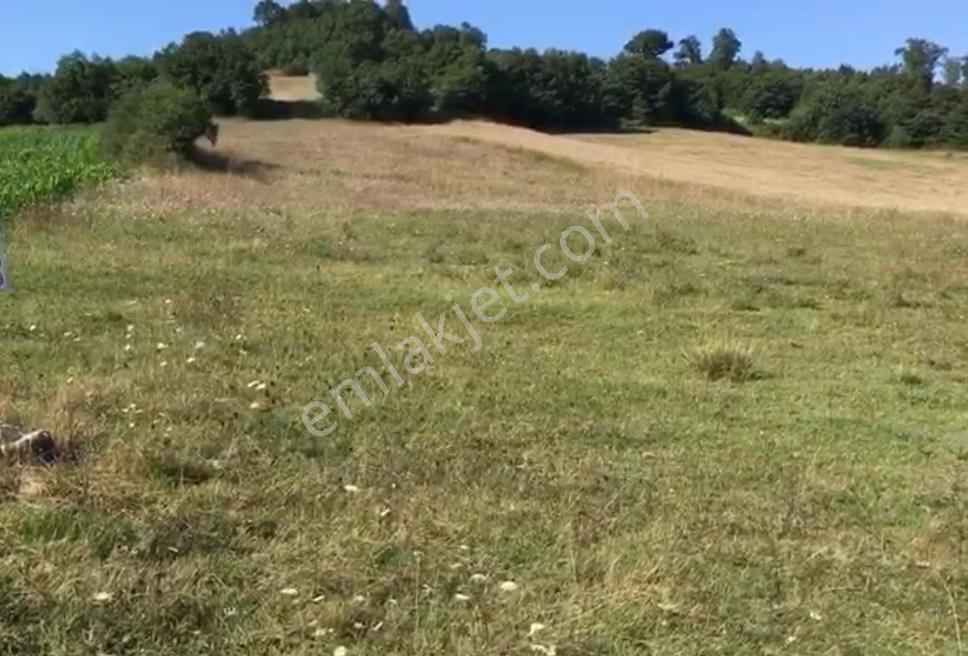 İstanbul Şile Hasanlı'da Asfalta Cepheli 6.501 M2 Düz Bir Arazi - Görsel 11