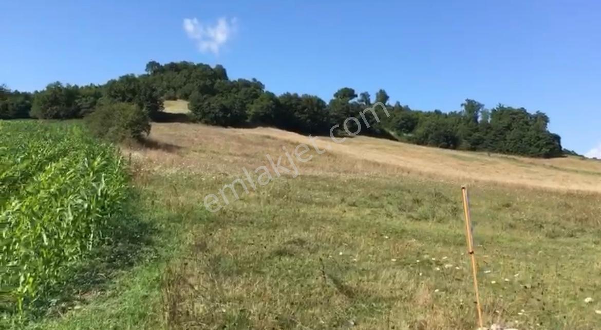 İstanbul Şile Hasanlı'da Asfalta Cepheli 6.501 M2 Düz Bir Arazi - Görsel 4