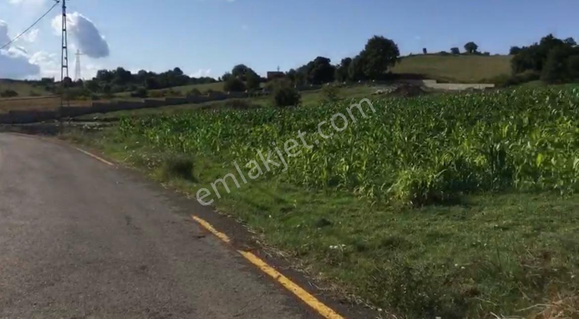 İstanbul Şile Hasanlı'da Asfalta Cepheli 6.501 M2 Düz Bir Arazi - Görsel 5