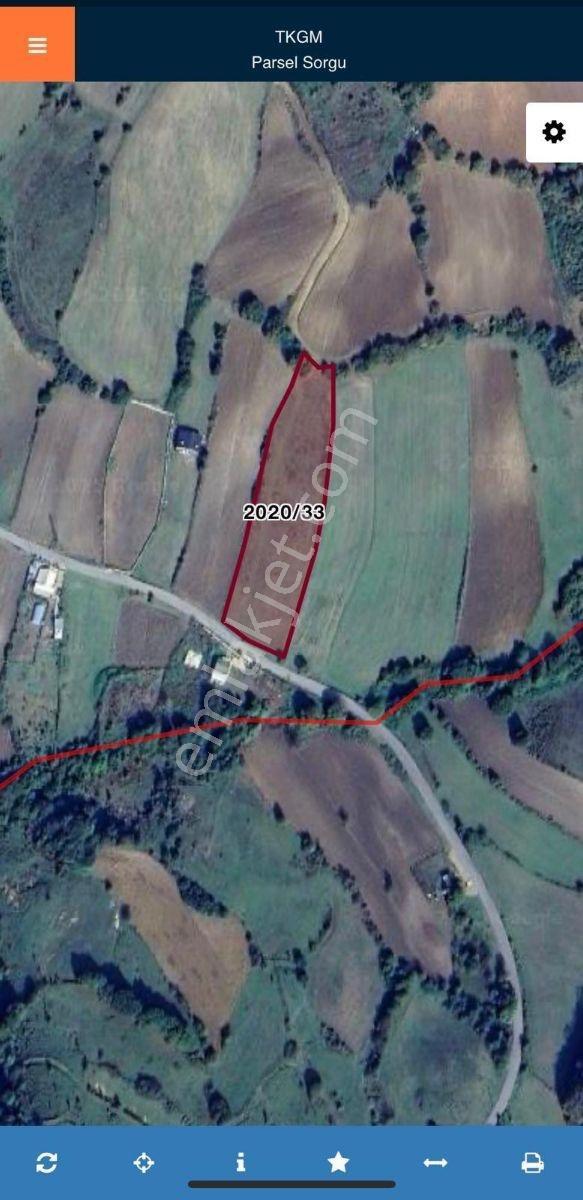 İstanbul Şile Hasanlı'da Asfalta Cepheli 6.501 M2 Düz Bir Arazi - Görsel 3