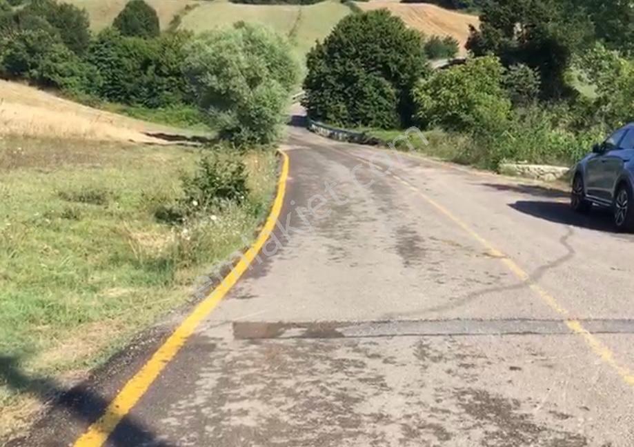 İstanbul Şile Hasanlı'da Asfalta Cepheli 6.501 M2 Düz Bir Arazi