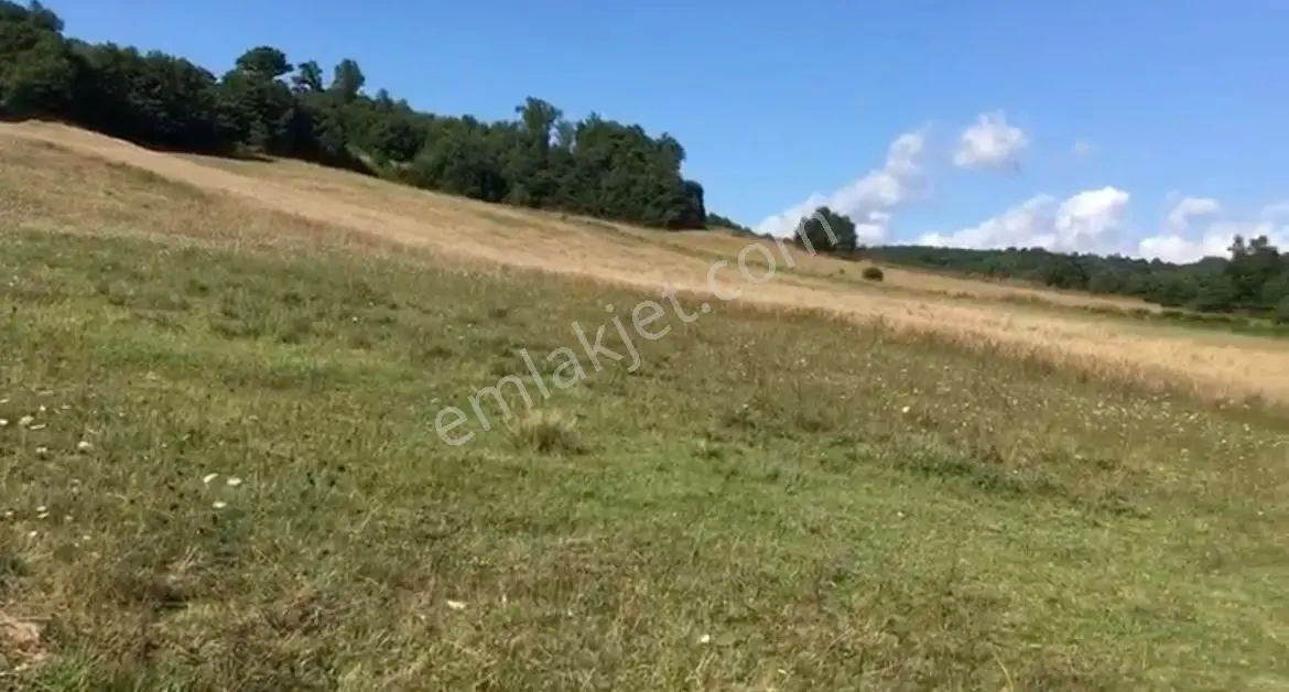 İstanbul Şile Hasanlı'da Asfalta Cepheli 6.501 M2 Düz Bir Arazi - Görsel 9
