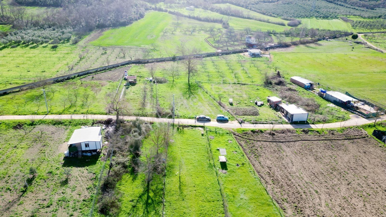 Nilüer Akçalarda Bahar Fırsatları - Görsel 8