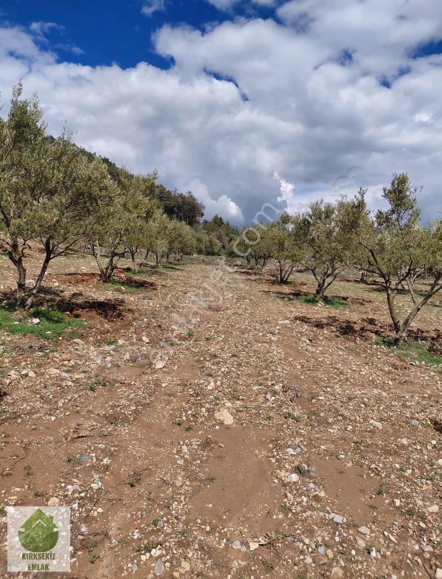 Muğla Menteşe Bozyer Mahallesinde Satılık Tarla...