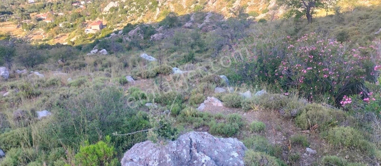 Marmaris/selimiye Satılık Tarla - Görsel 3