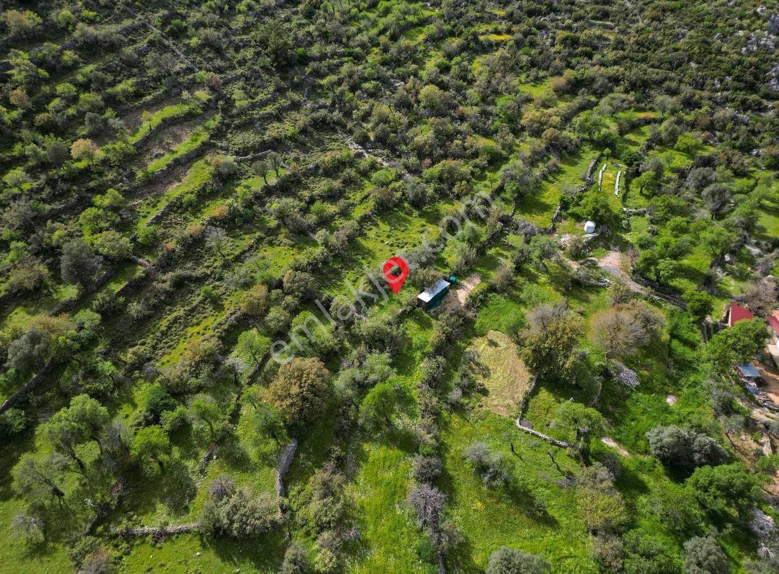 Muğla Marmaris Söğüt Geleceğe Yatırım Fırsatı ! - Görsel 7