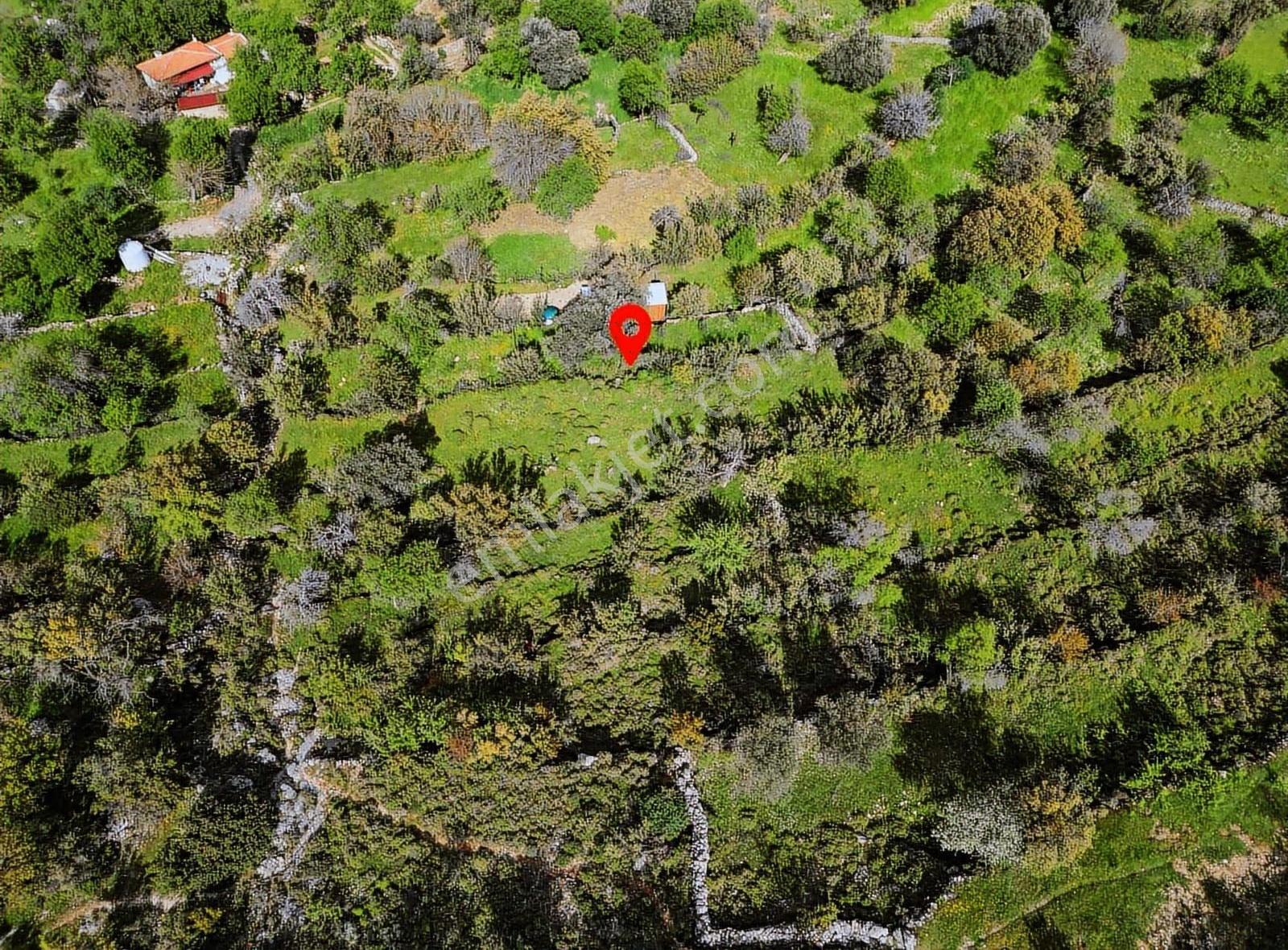 Muğla Marmaris Söğüt Geleceğe Yatırım Fırsatı ! - Görsel 5