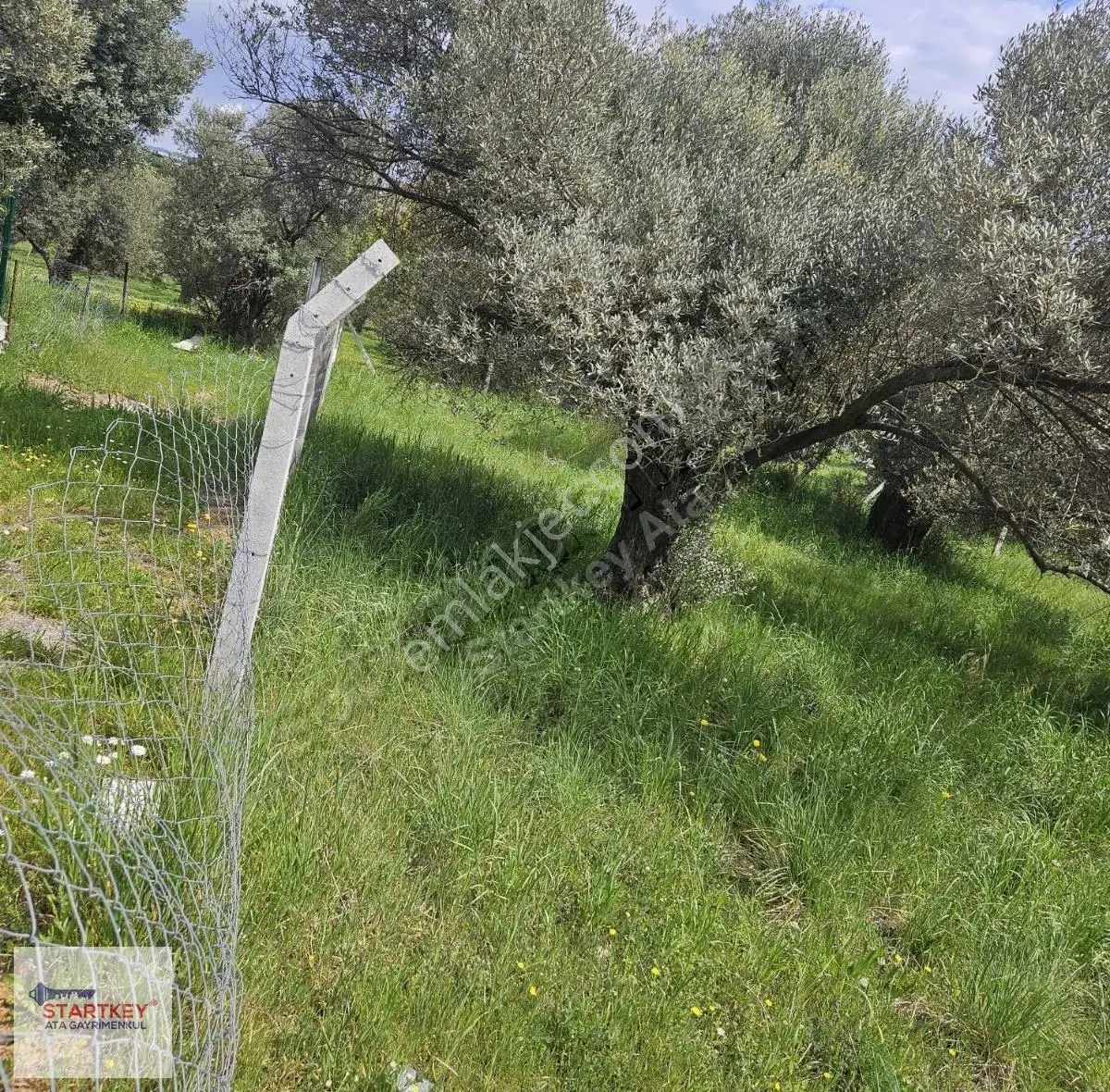Aliğa Çakmaklı Mahallesi 354 M2 Satılık Tarla
