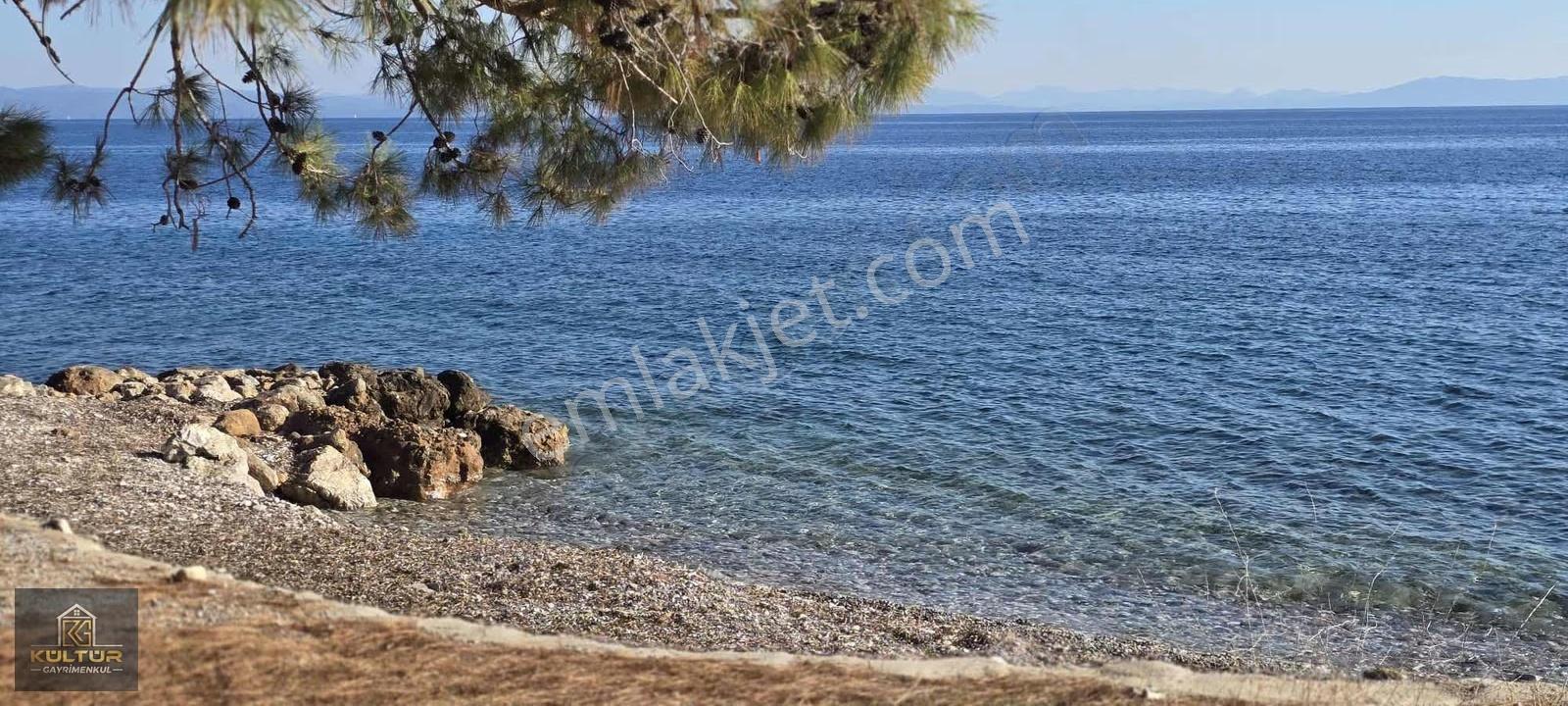 Milas Bozolan Da 2dönüm Satılık Arsa Muhteşem Manzaralı Hisseli - Görsel 9