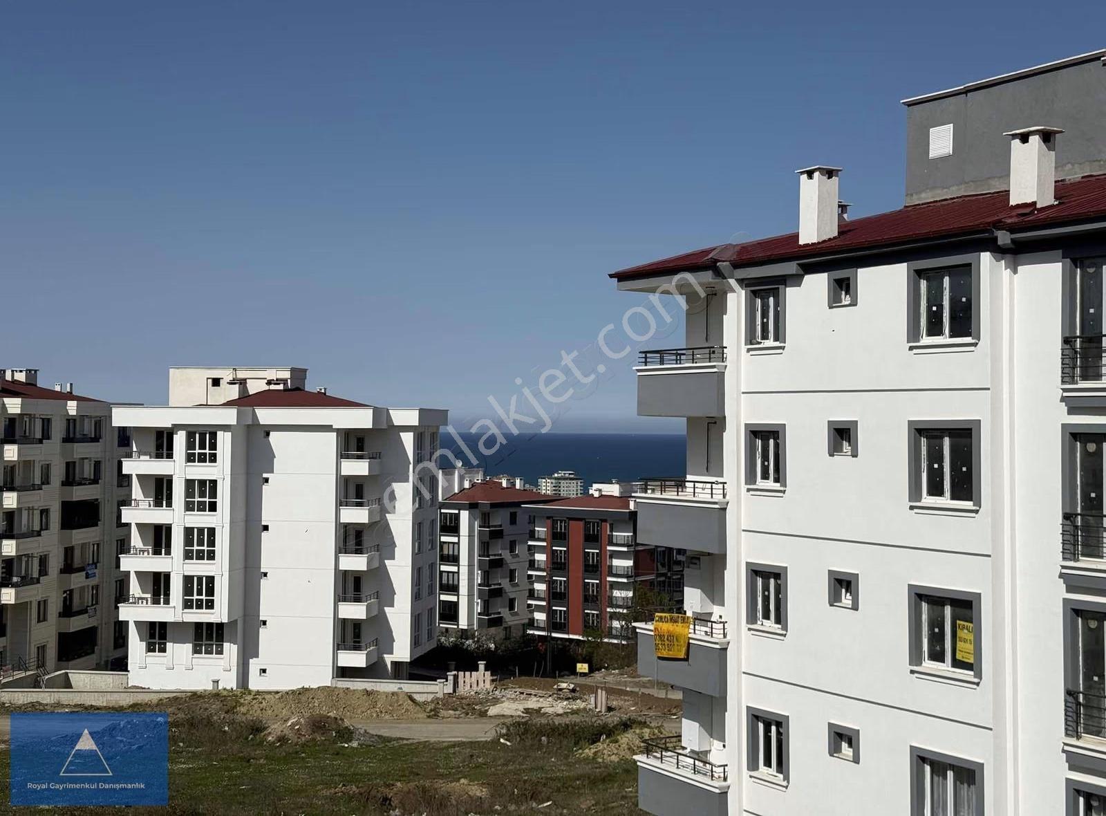 Toplu Konut Bulvarına Cephe Sıfır Eşyalı Kiralık 1+1 - Görsel 6