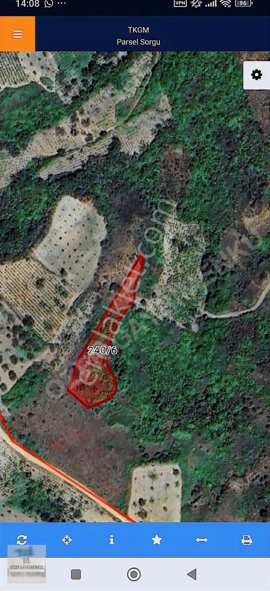 Satılık Kiraz Bahçesi Tek Tapu Deniz Manzaralı Tepe Konum