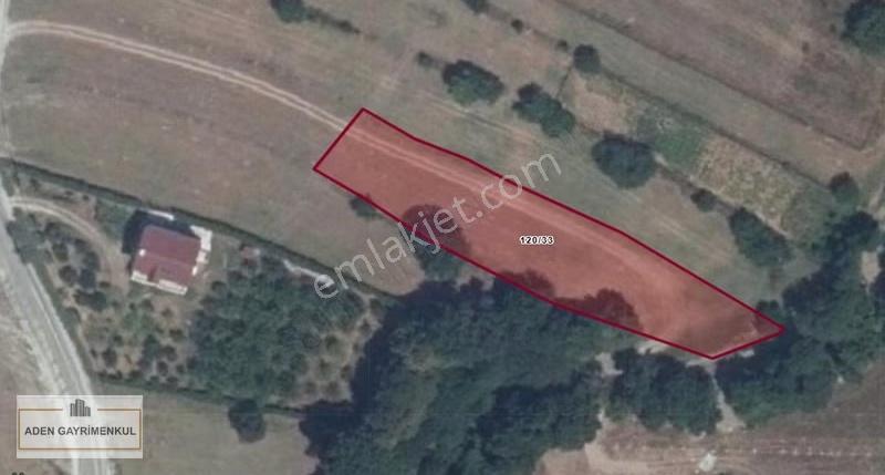 Tekirdağ Saray Sefaalan Mah. 202 M² Tarladan Hisse