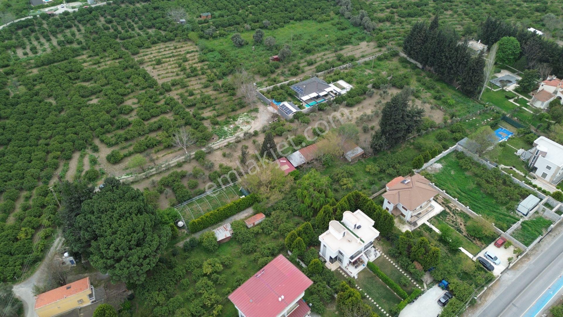 Veri'den Sığacık'ta 3 Ayrı Tapu Satılık Naranciye Bahçesi! - Görsel 12
