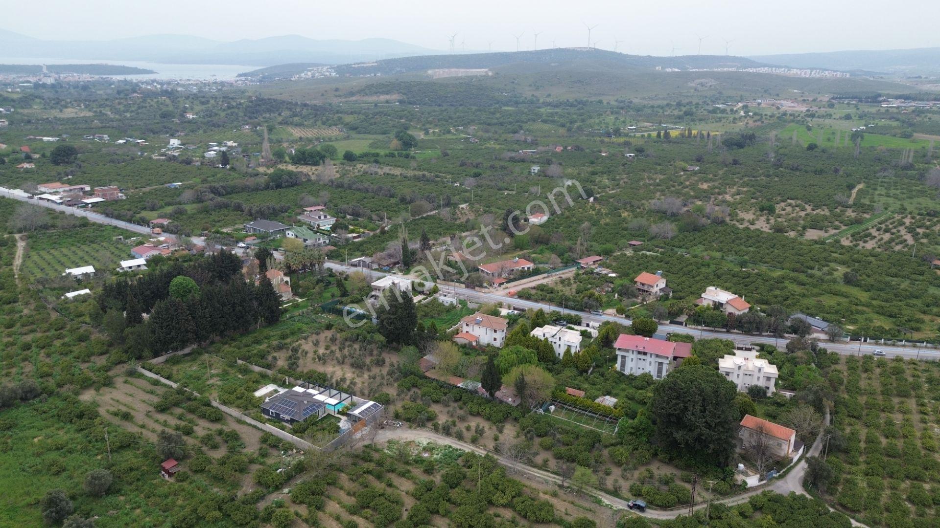 Veri'den Sığacık'ta 3 Ayrı Tapu Satılık Naranciye Bahçesi! - Görsel 7