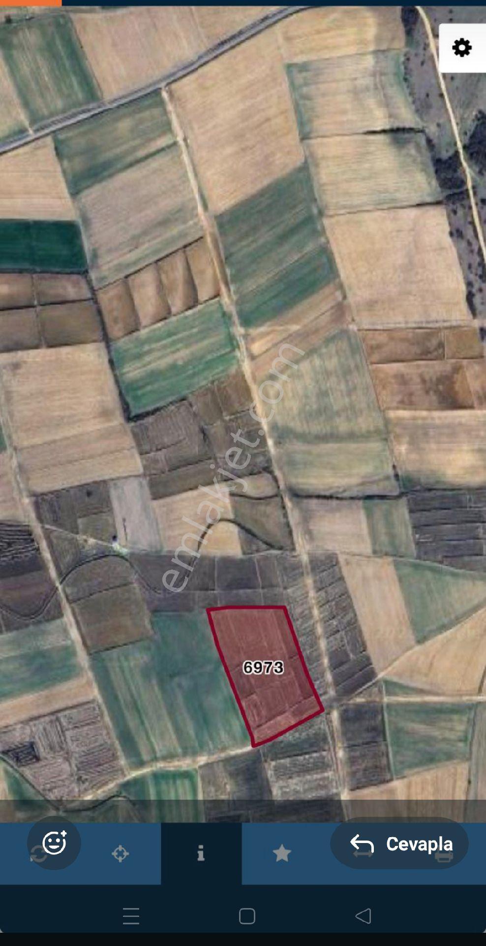Edirne Uzunköprü Kurtbey'de Satılık 19.812 Metre Tarla - Görsel 3