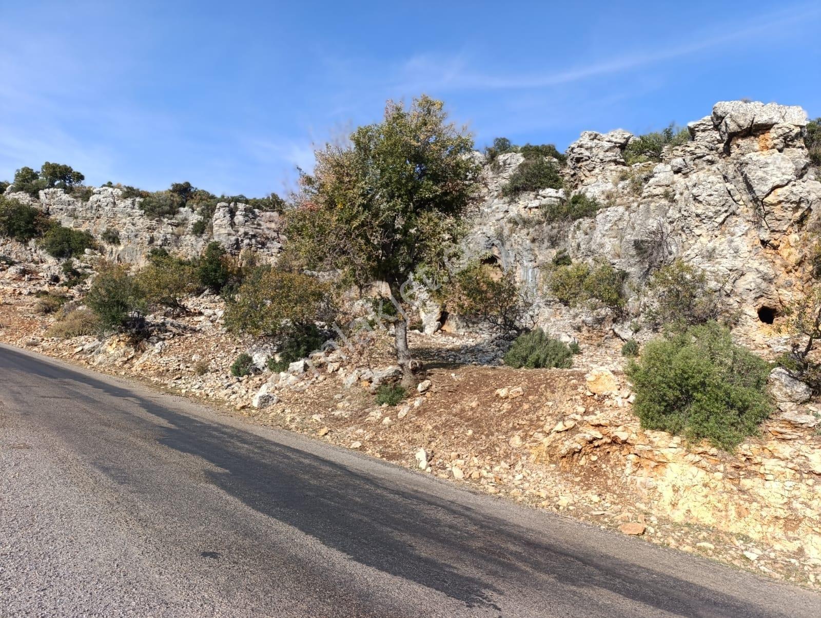 Karakuş Emlaktan Yeniyörük Ana Yol Cepheli Cazip 15.668 M² Tarla - Görsel 7