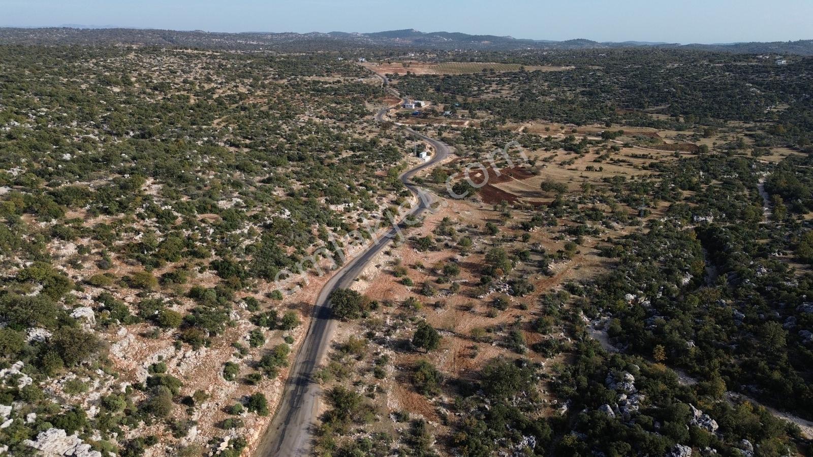 Karakuş Emlaktan Yeniyörük Ana Yol Cepheli Cazip 15.668 M² Tarla - Görsel 5