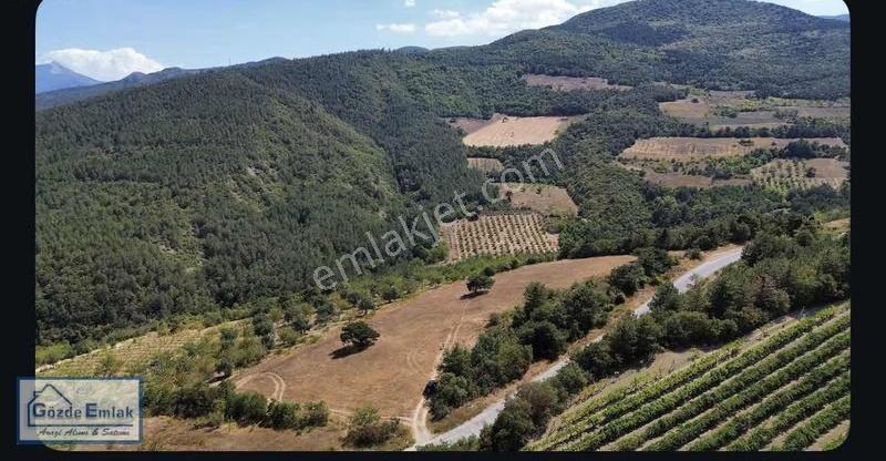 Geyve Alıplar Asfalta Cephe 6911m2 - Görsel 13