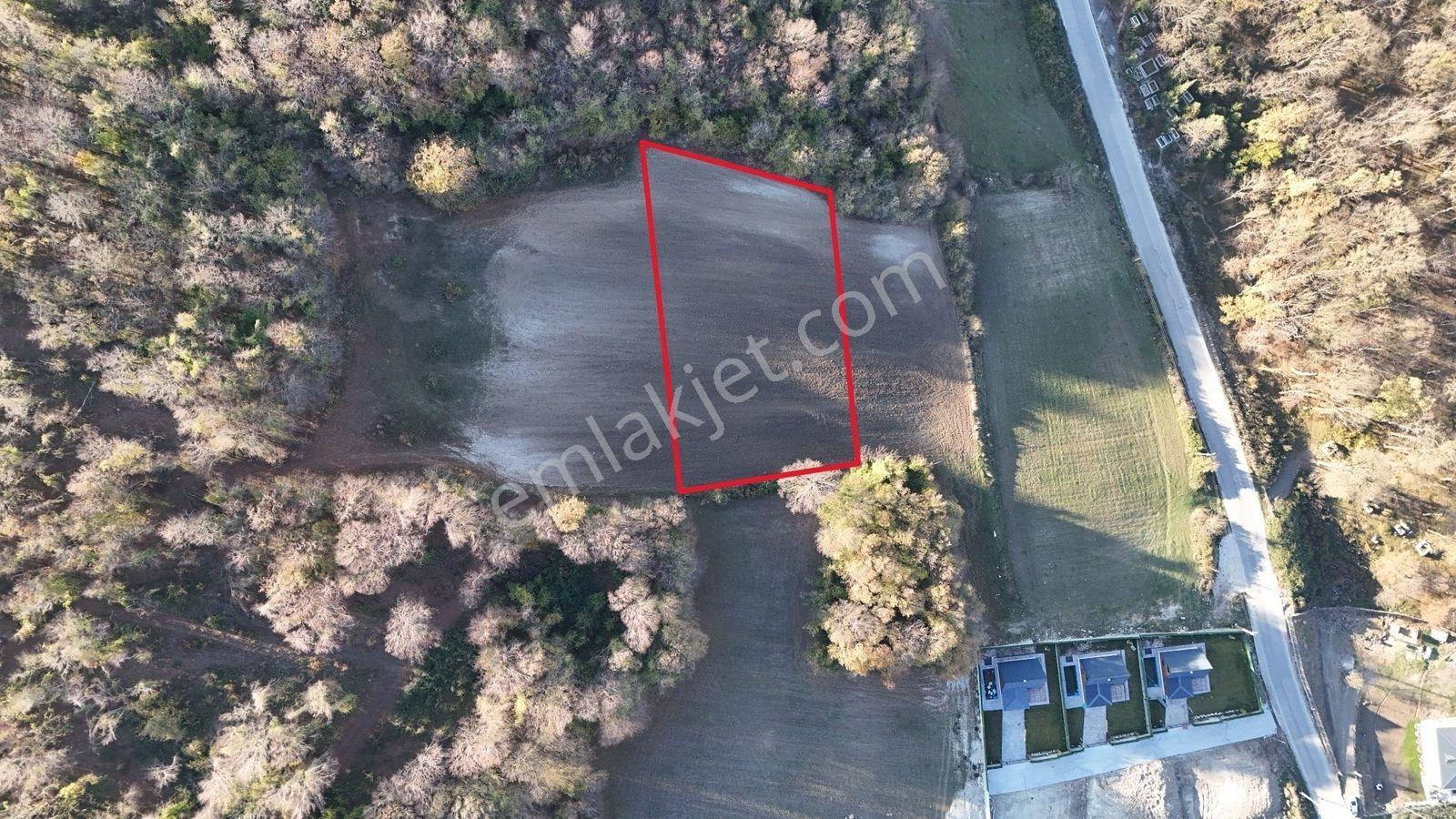 Samsun Atakum Sarayköy'de Deniz Manzaralı 2600 M² Tek Tapu Tarla - Görsel 6