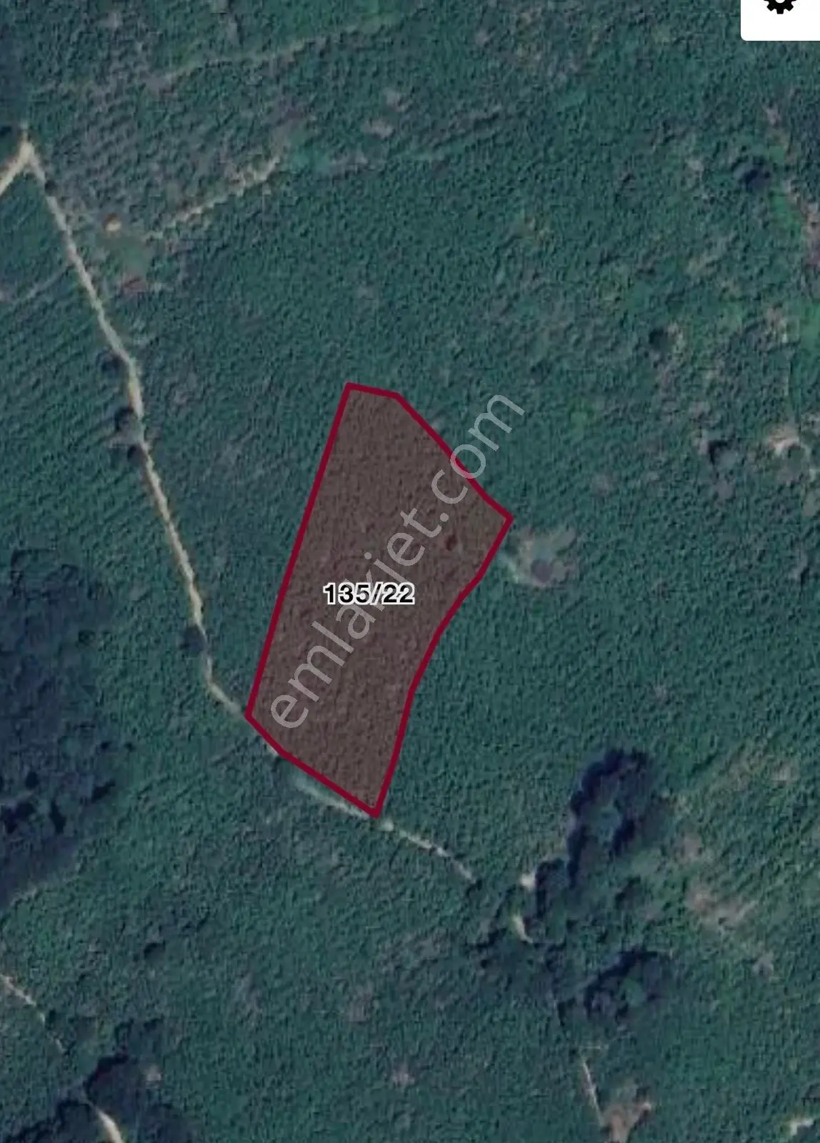 Kocaali Kozluk 10.847 M2 Muhteşem Verimli Fındık Bahçesi - Görsel 4