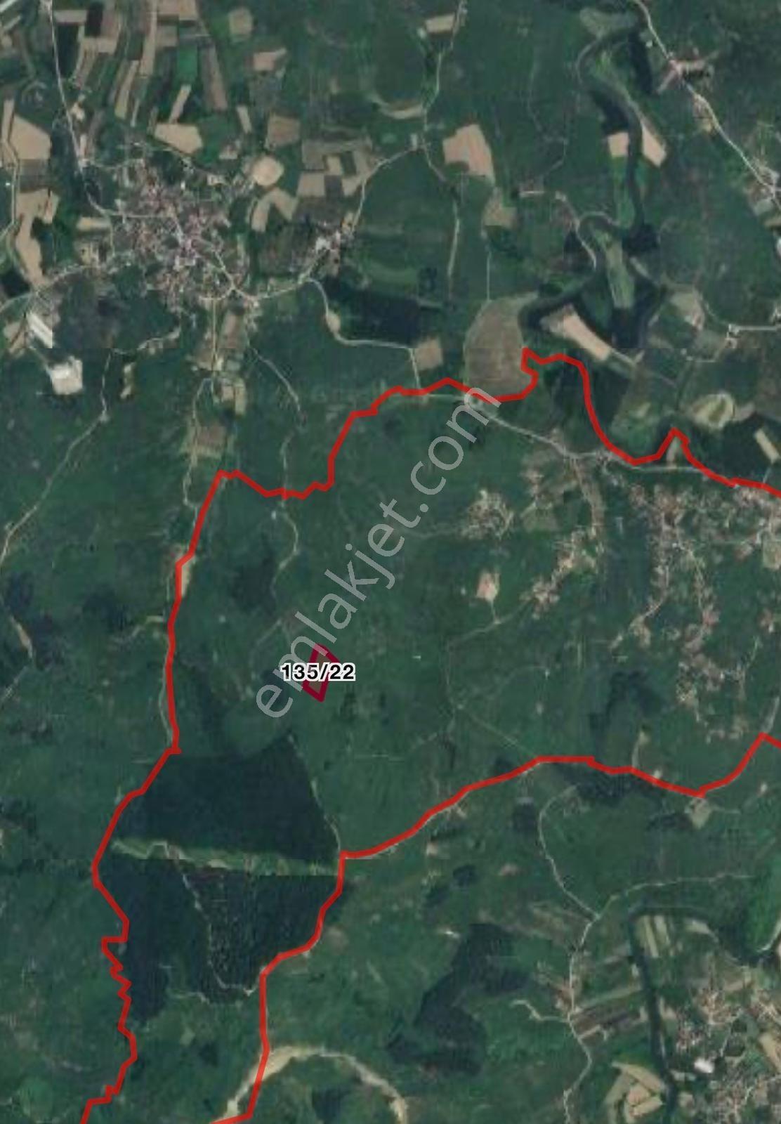 Kocaali Kozluk 10.847 M2 Muhteşem Verimli Fındık Bahçesi - Görsel 6