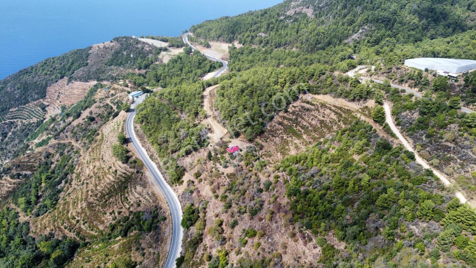 Gazipaşa Zeytinada Mahallesi'nde Mevzi İmarına Uygun Arazi - Görsel 4