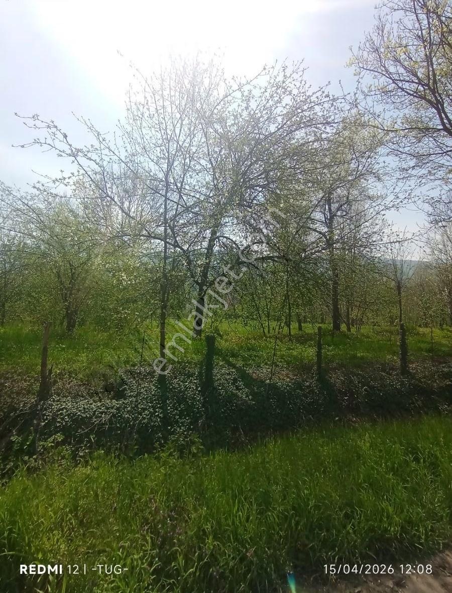 Düzce Aydınpinar Köyünde Satılık Arsa - Görsel 4