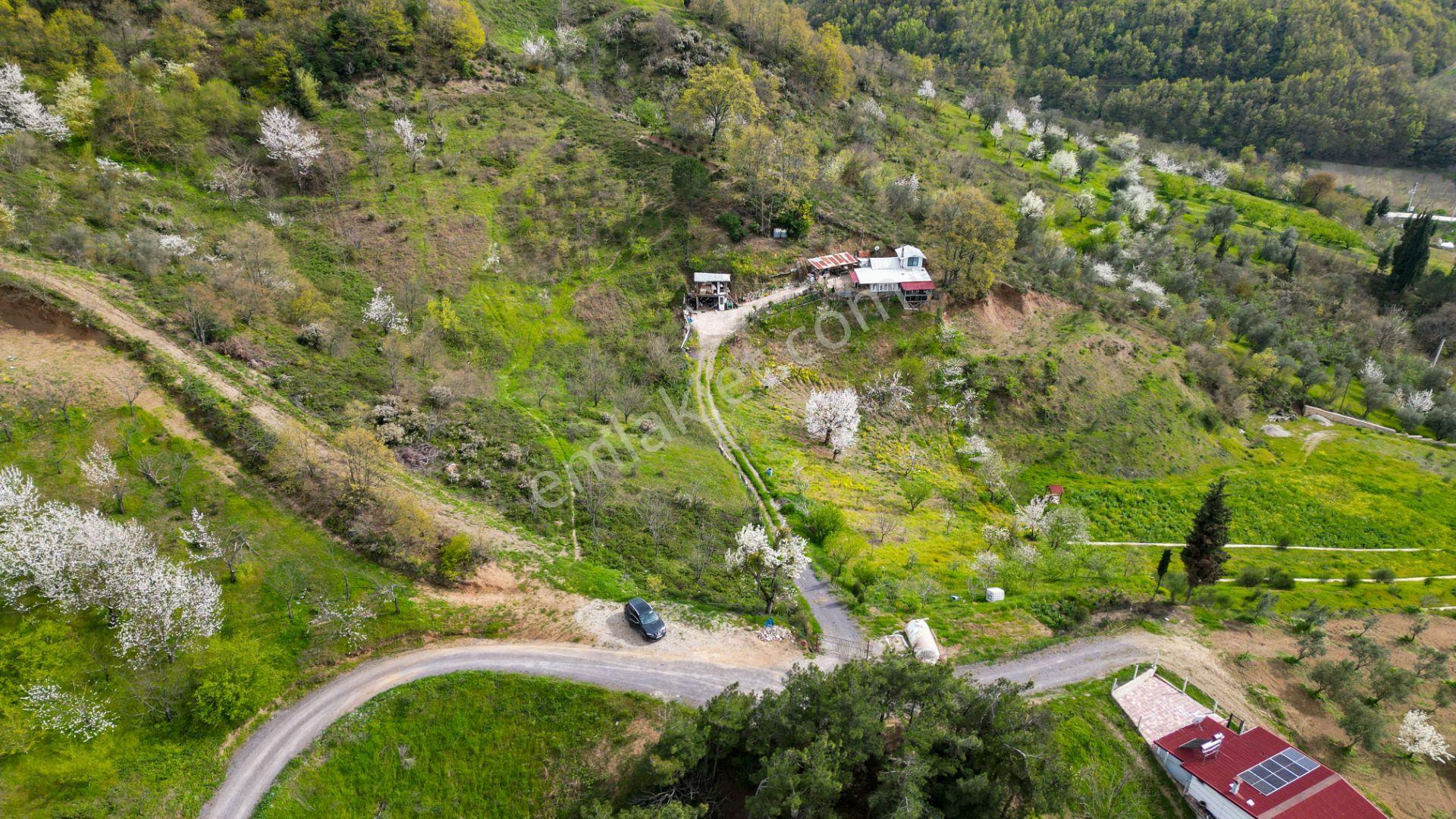 Uzmanlar'dan Karamürsel Akçat 6.386 M2 Satılık Meyve Bahçesi - Görsel 9