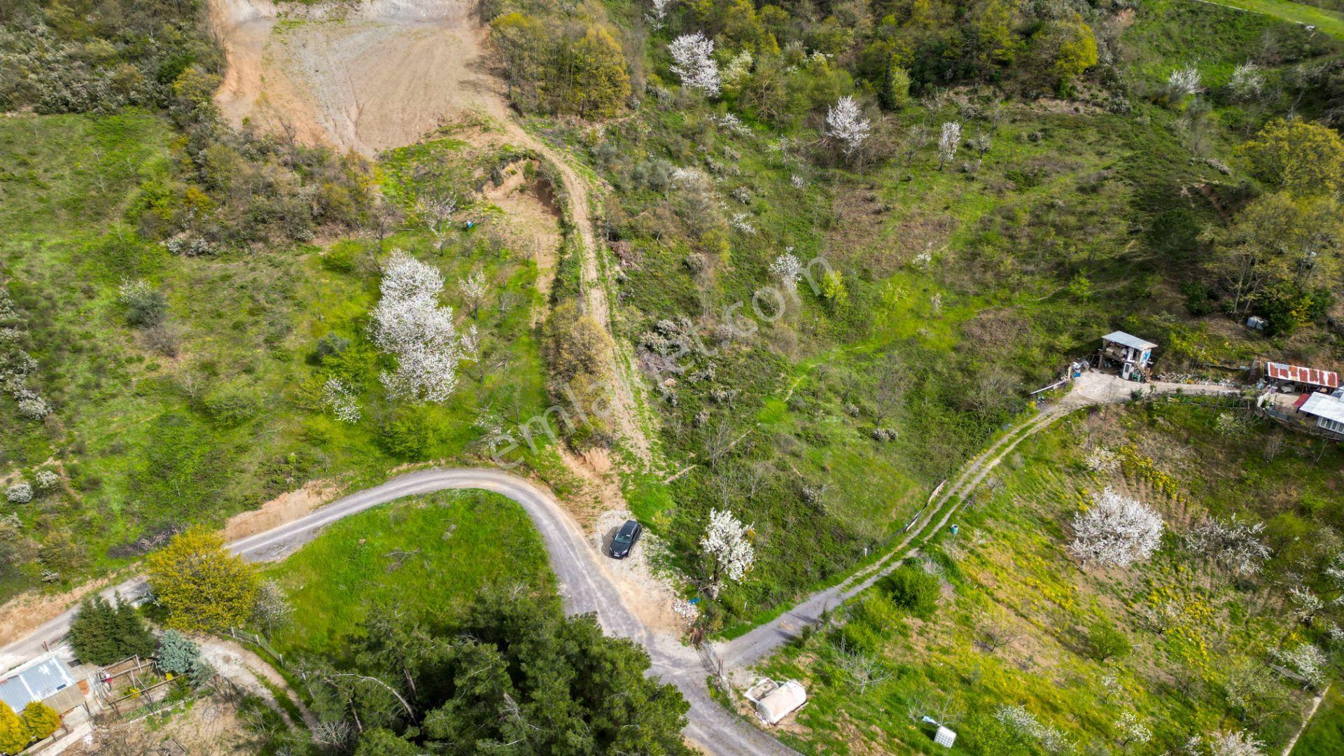 Uzmanlar'dan Karamürsel Akçat 6.386 M2 Satılık Meyve Bahçesi - Görsel 8