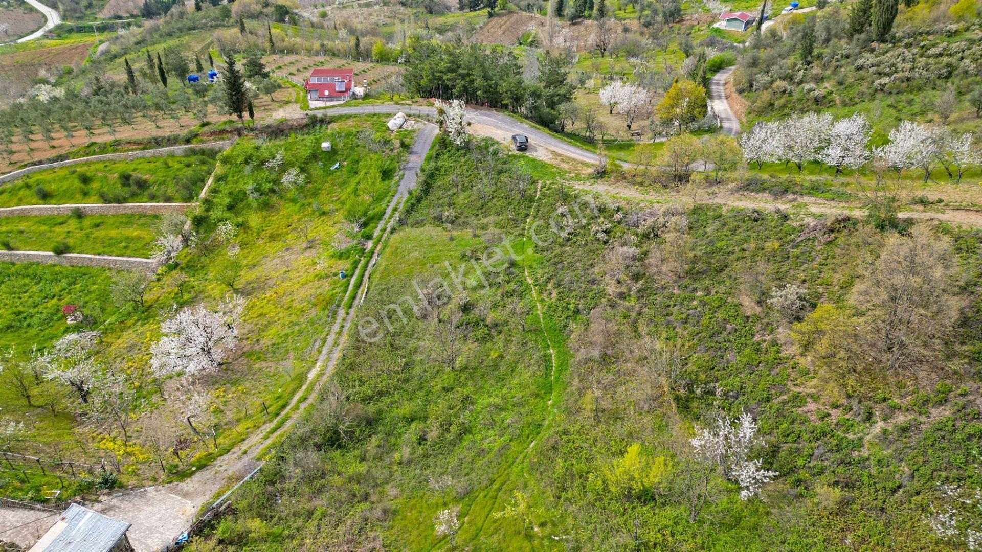 Uzmanlar'dan Karamürsel Akçat 6.386 M2 Satılık Meyve Bahçesi - Görsel 6