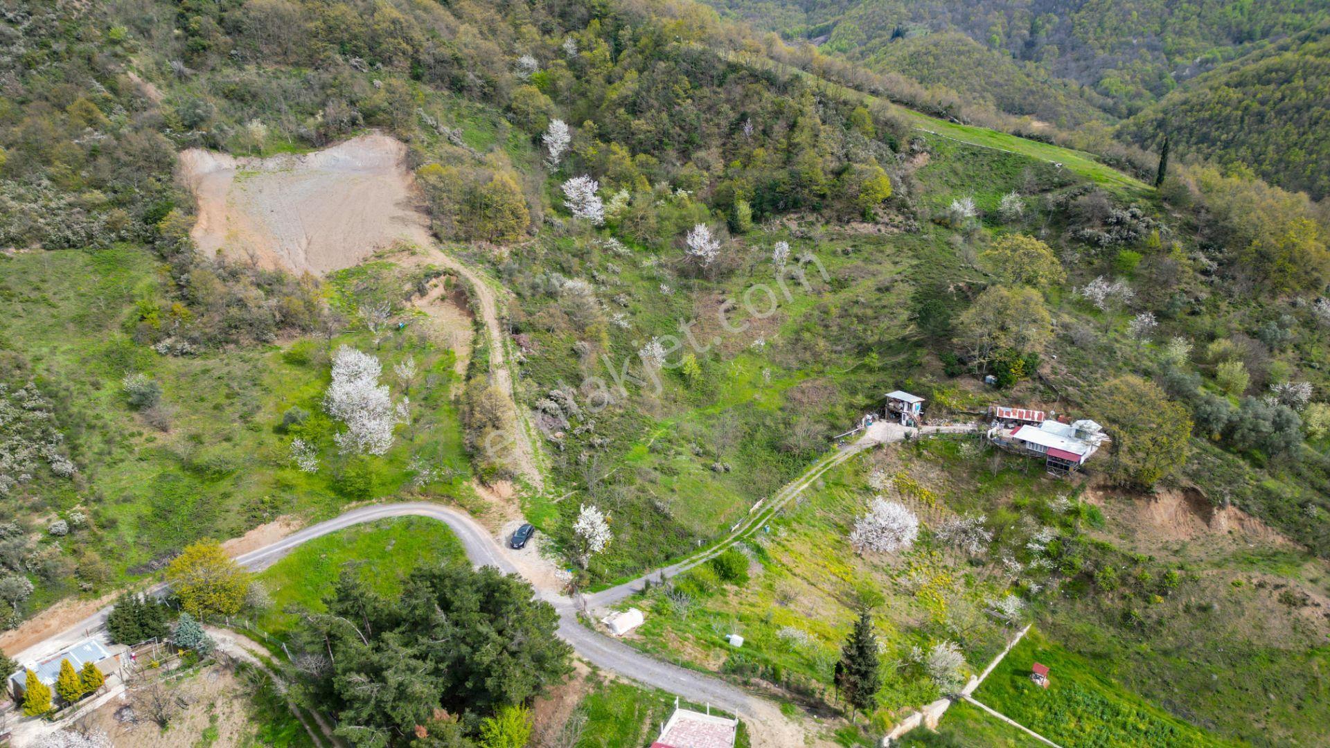 Uzmanlar'dan Karamürsel Akçat 6.386 M2 Satılık Meyve Bahçesi - Görsel 2
