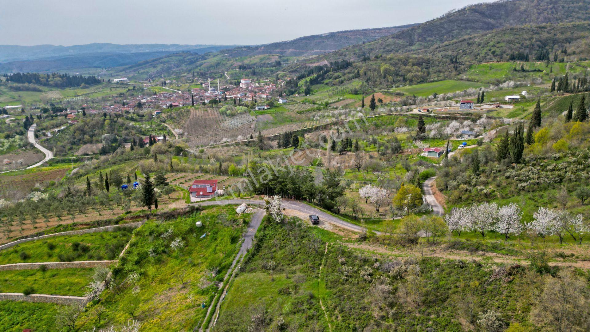 Uzmanlar'dan Karamürsel Akçat 6.386 M2 Satılık Meyve Bahçesi - Görsel 7